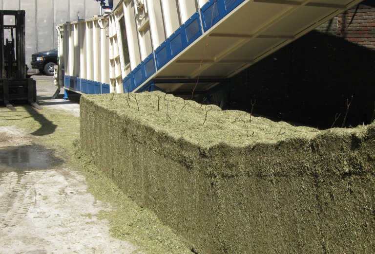 Cooler and baler for Alfalfa production