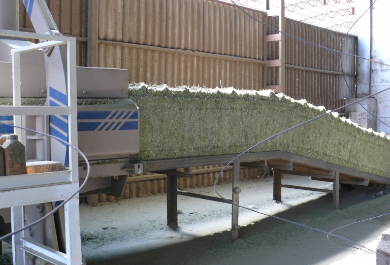 The processing of alfalfa into pellets or bales