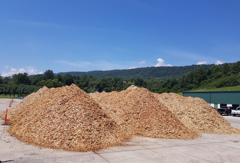 Production of dried wood chips