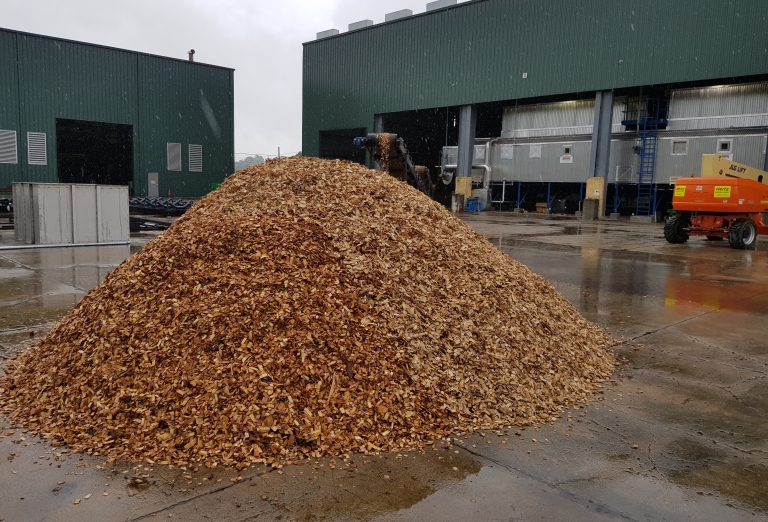 Production of dried wood chips