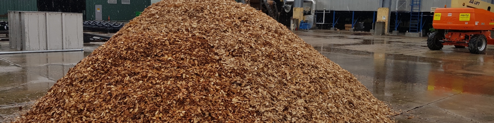 Production of dried wood chips