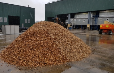 Production of dried wood chips