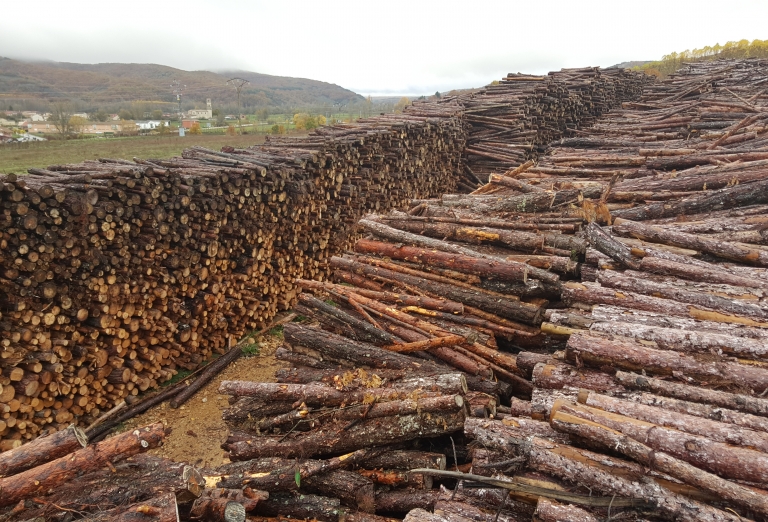 The production of wood pellets from sawdust