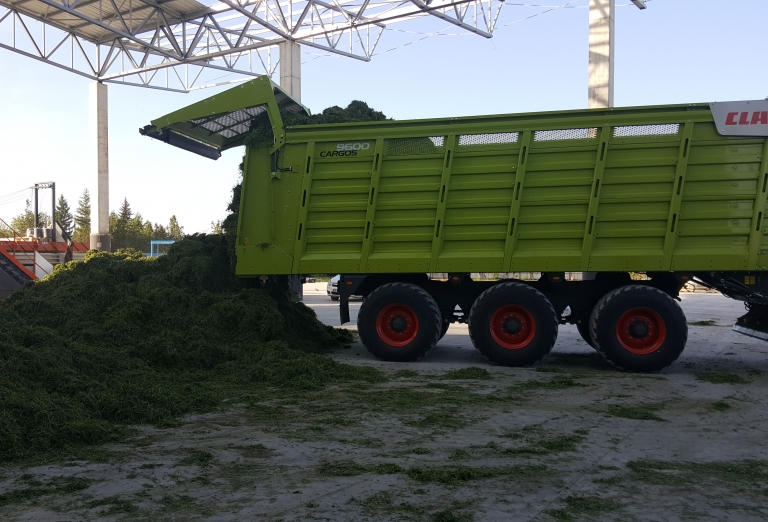 Drying of lucerne and corn silage into pellets or bales