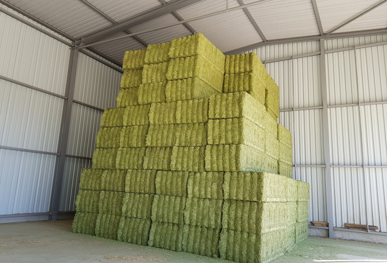 Drying of lucerne and corn silage into pellets or bales