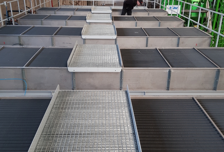 Drying of sawdust on a belt dryer