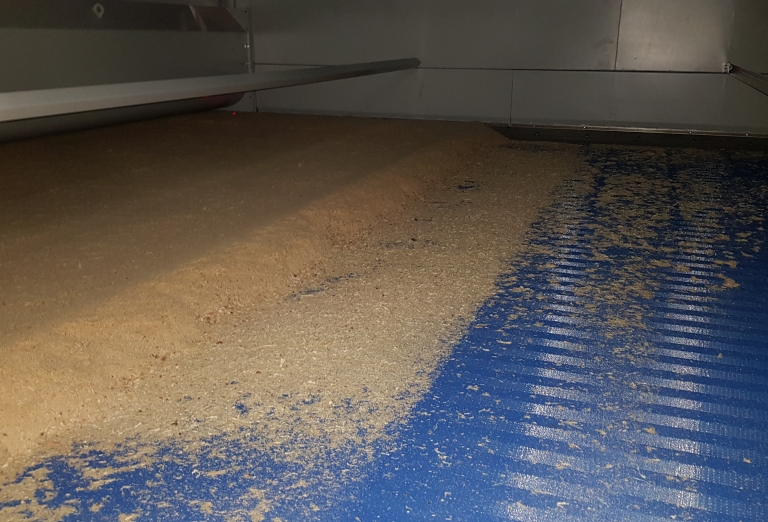 Drying of sawdust on a belt dryer