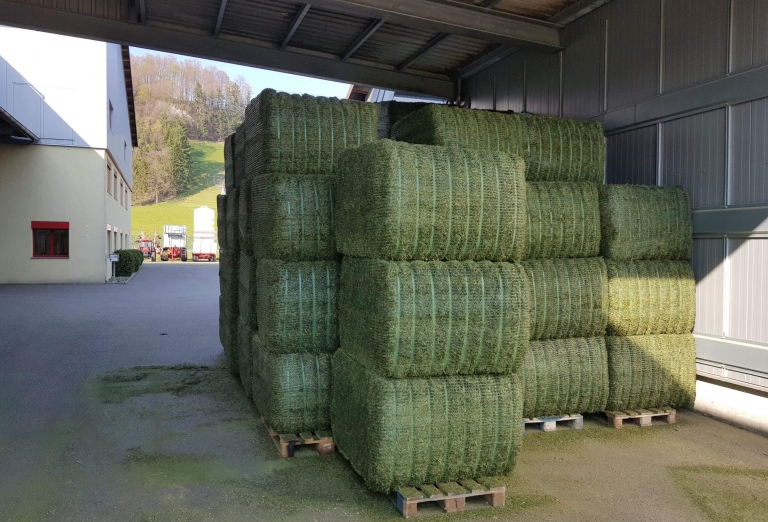 Drying of grass for cattle feed production