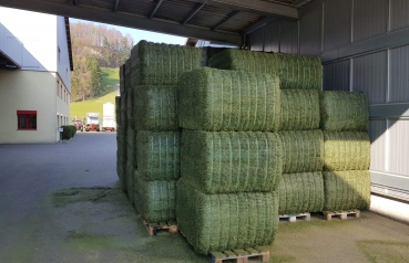 Drying of grass for cattle feed production