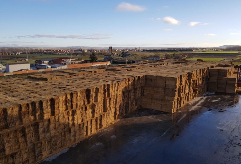 Drying of Alfalfa into bales and pellets