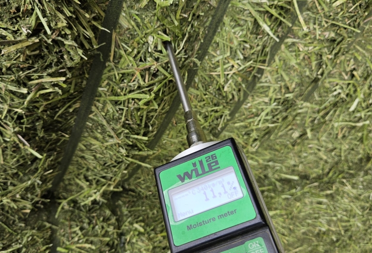 Drying of lucerne and corn silage into pellets or bales