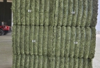 IMG-20240417-WA0010.jpg